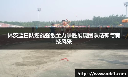 林茨蓝白队迎战强敌全力争胜展现团队精神与竞技风采