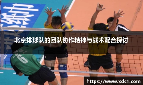LH雷火官网