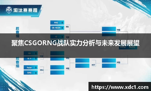 聚焦CSGORNG战队实力分析与未来发展展望