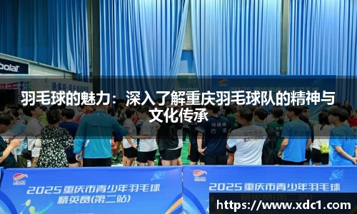 羽毛球的魅力：深入了解重庆羽毛球队的精神与文化传承